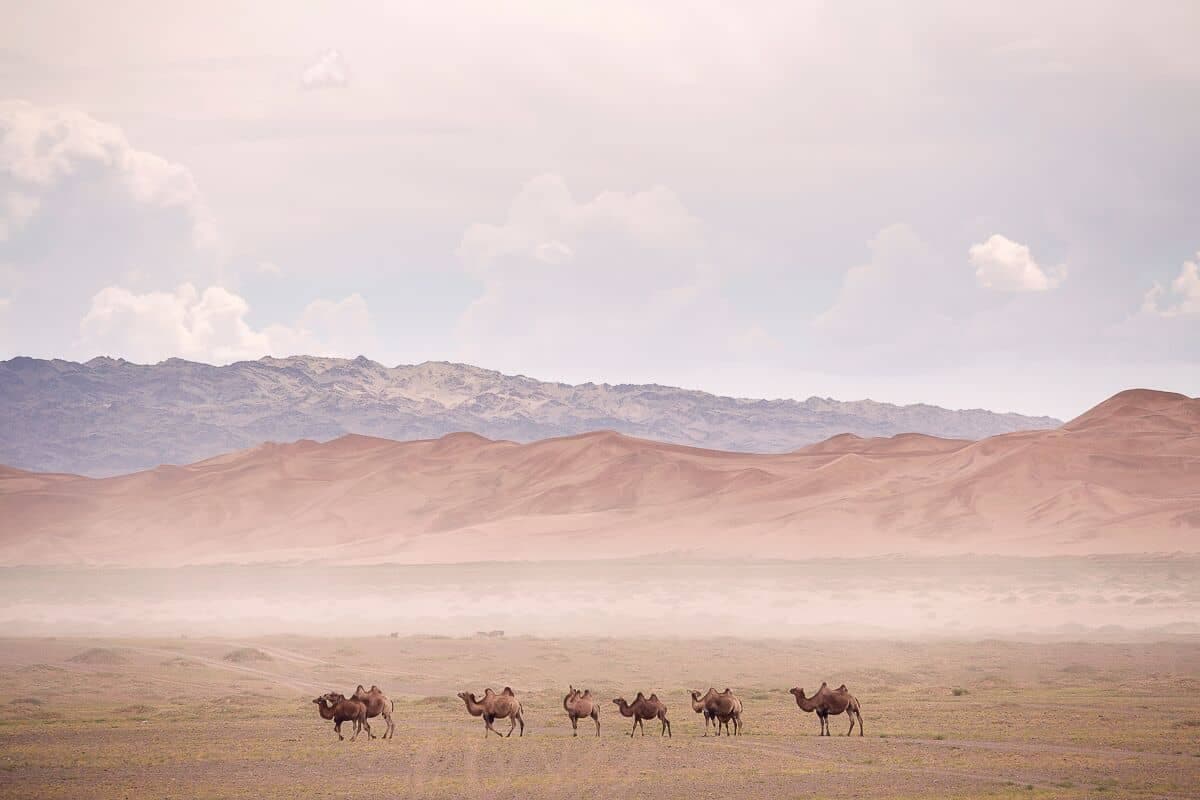 Gobi and Kharkhorin Tour