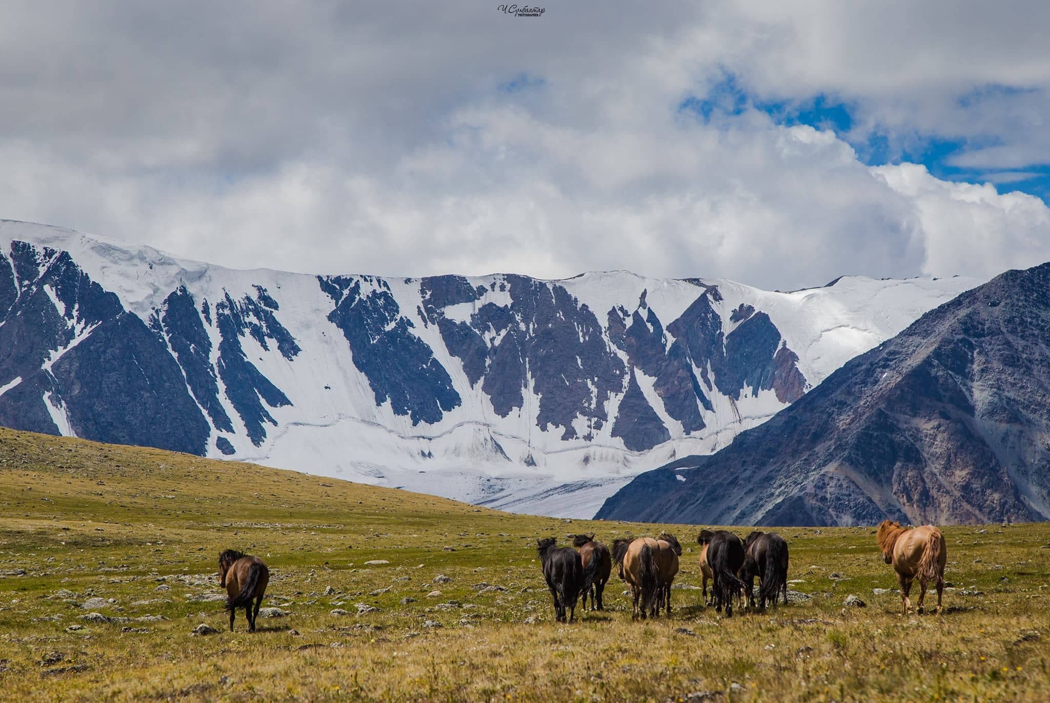 Altai Mountain Tour